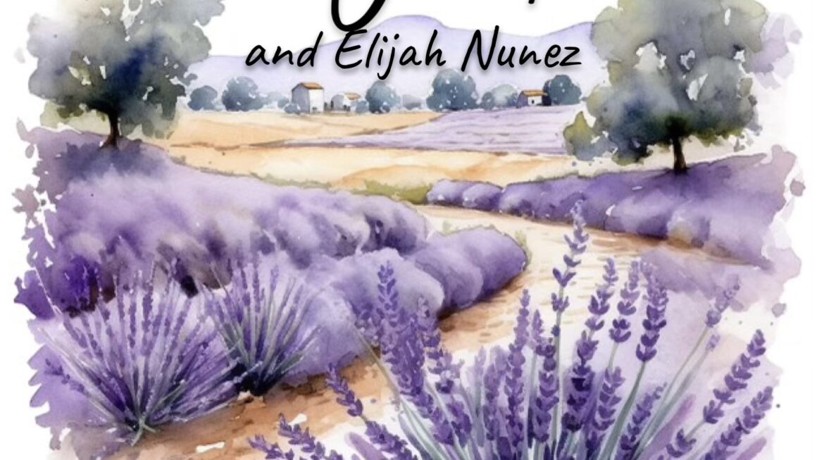 Lavender Nights Festival
