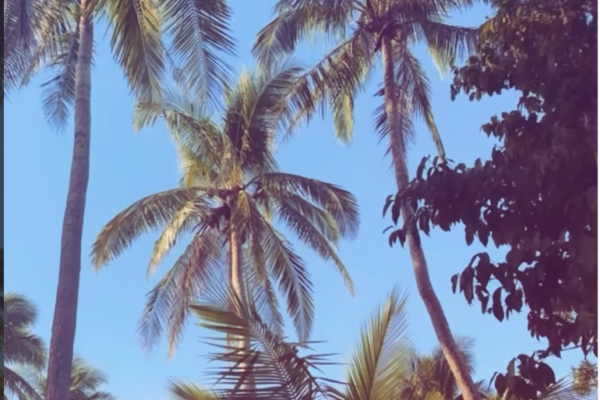 Annika Bellamy Becomes First International Artist to Perform on Jomalig Island 🇵🇭 following her Japan tour promoting her new album to be released this summer!