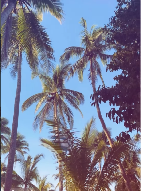 Annika Bellamy Becomes First International Artist to Perform on Jomalig Island 🇵🇭 following her Japan tour promoting her new album to be released this summer!