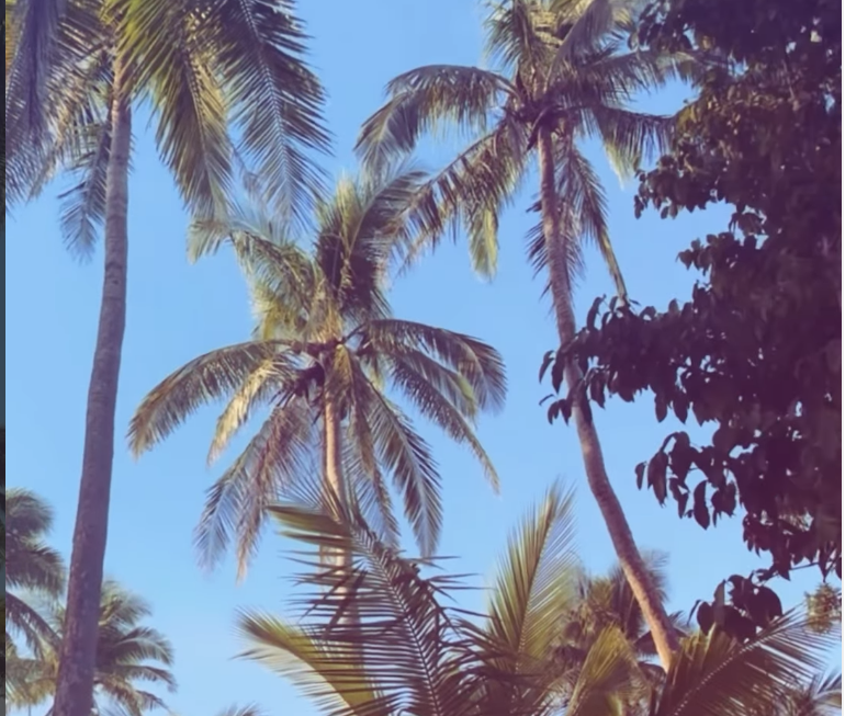 Annika Bellamy Becomes First International Artist to Perform on Jomalig Island 🇵🇭 following her Japan tour promoting her new album to be released this summer!